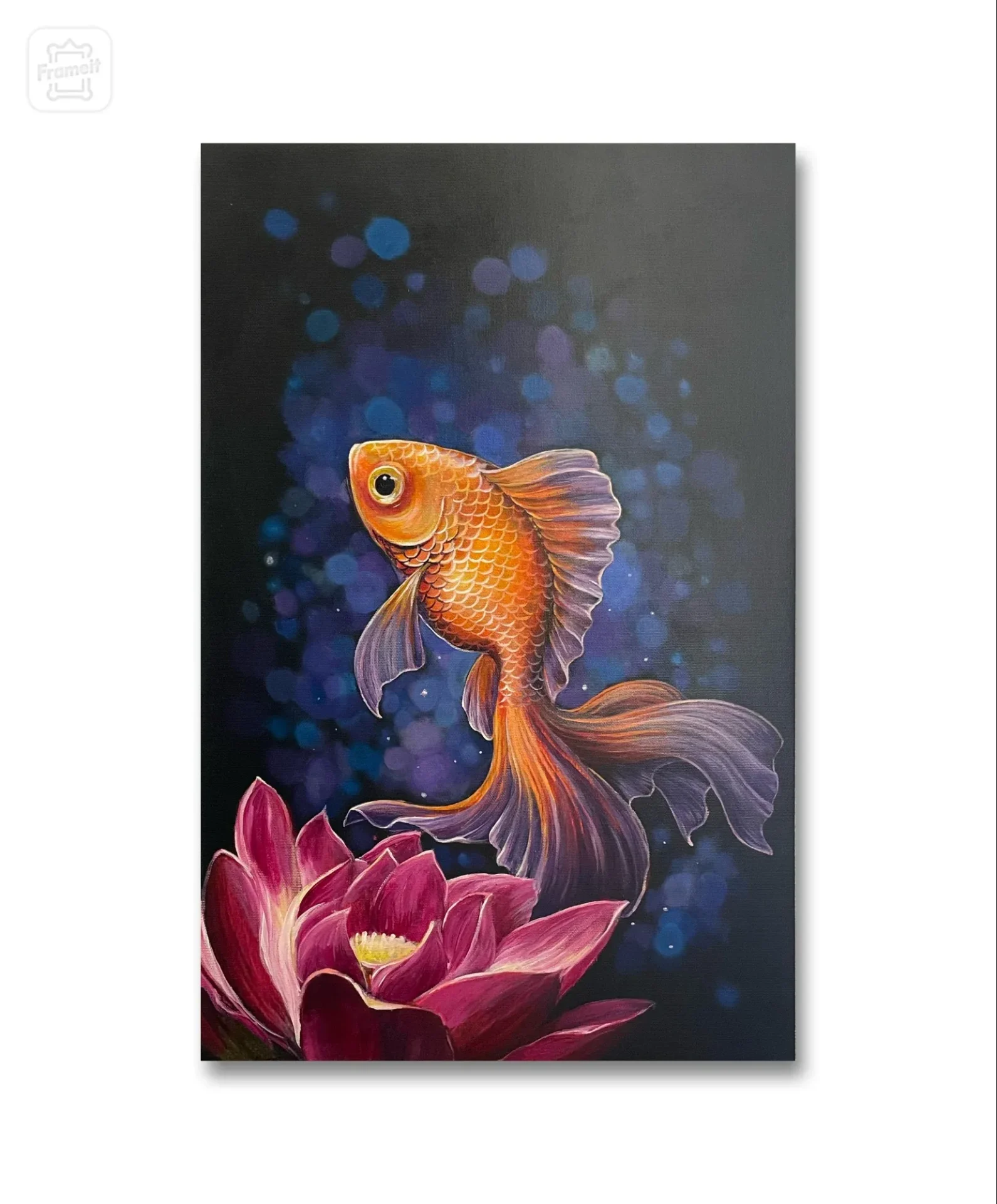 金魚